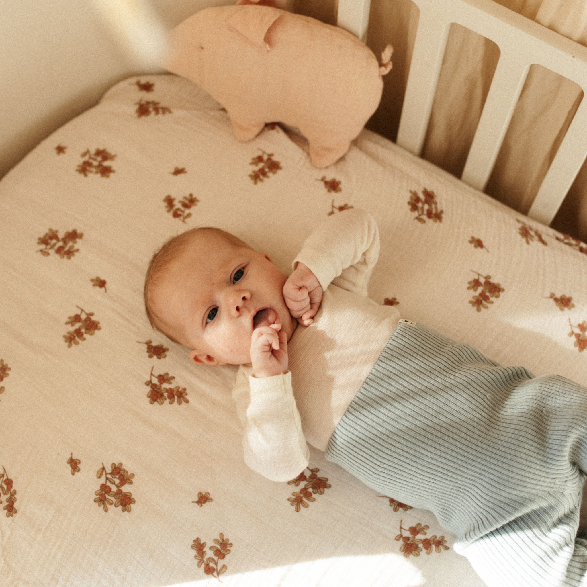 Body Lorena in creme
