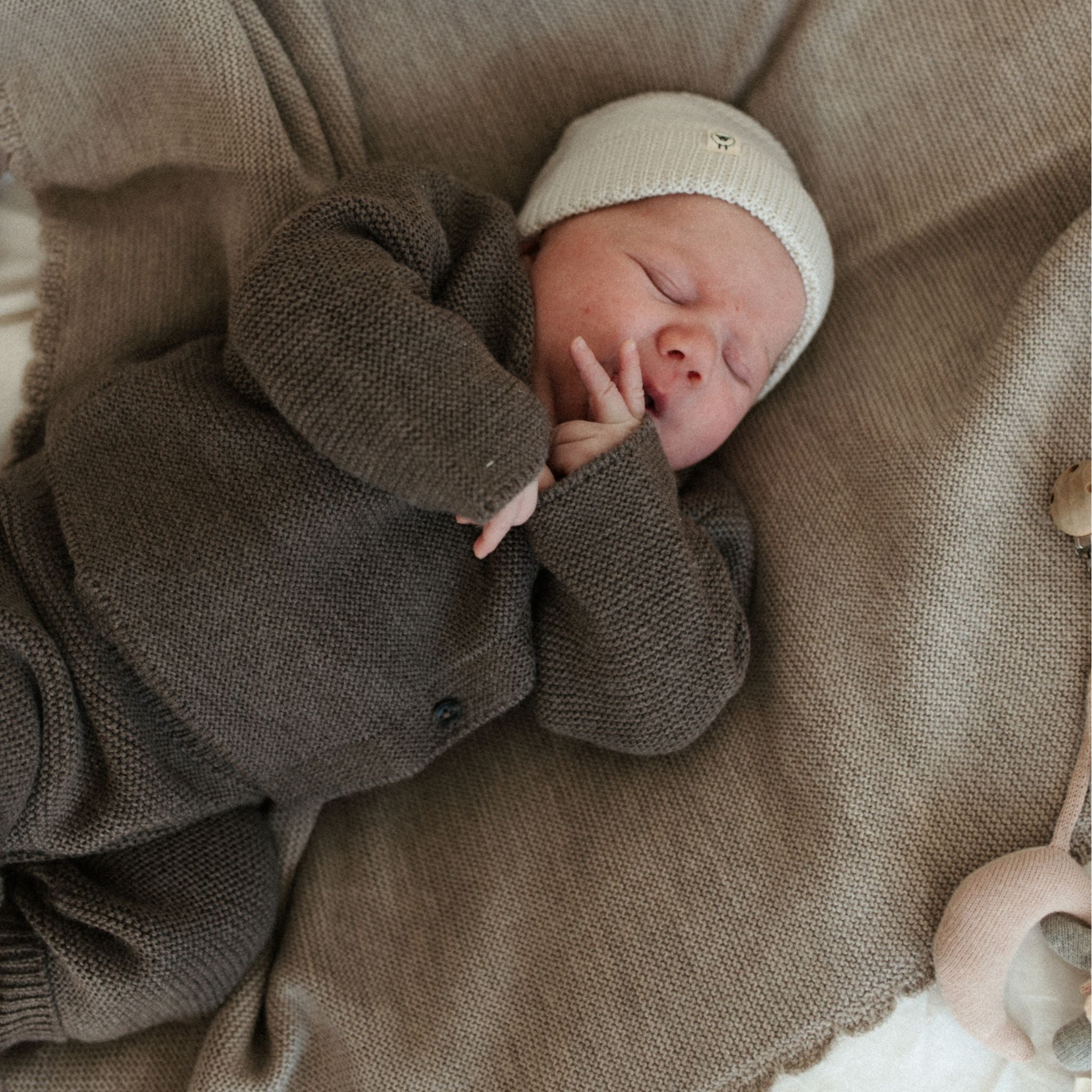 Pullover Hedi in toffee