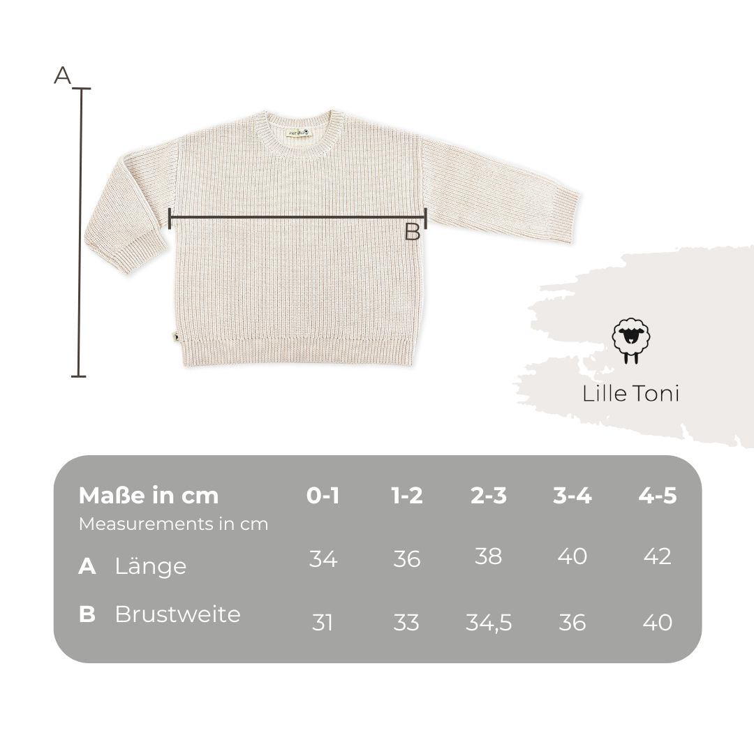 Pullover "Paul" in grau melange